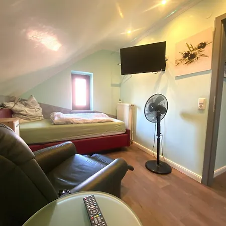 Luerssenwerft Fuer Firmen 4 Einzelzimmer Suchen Apartment Bremen